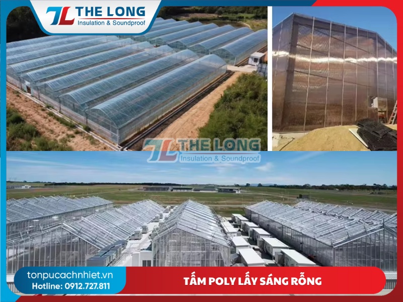 Tấm Poly Lấy Sáng Rỗng